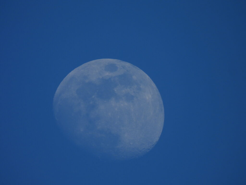 Daytime nearly-full moon